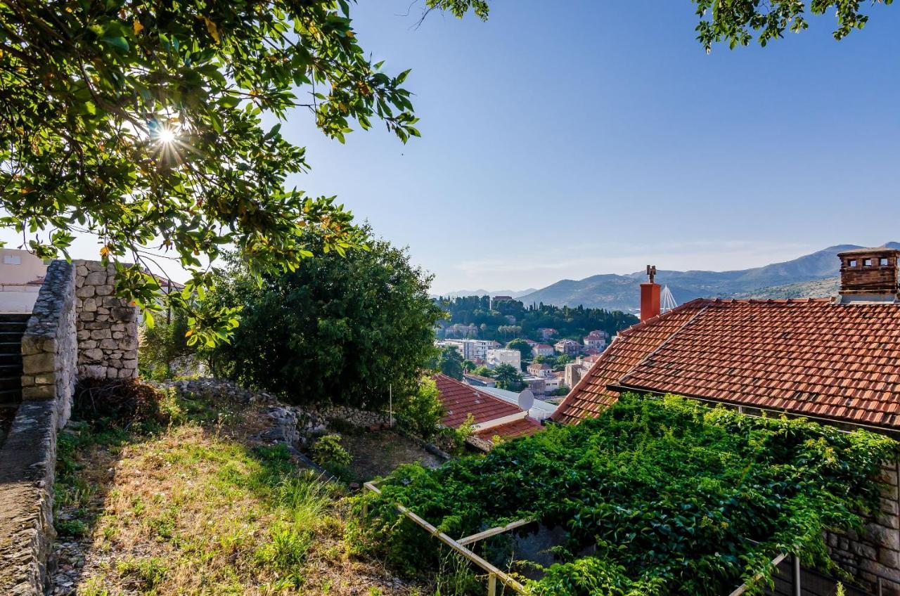 Amigo Dubrovnik